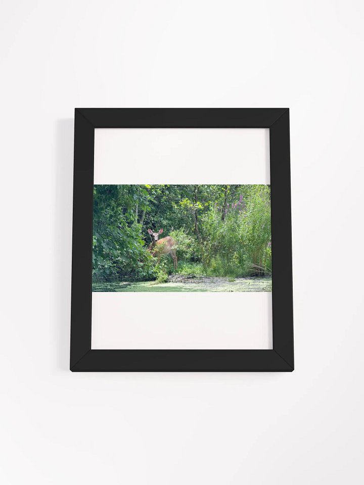Deer In The Wild print product image (5)