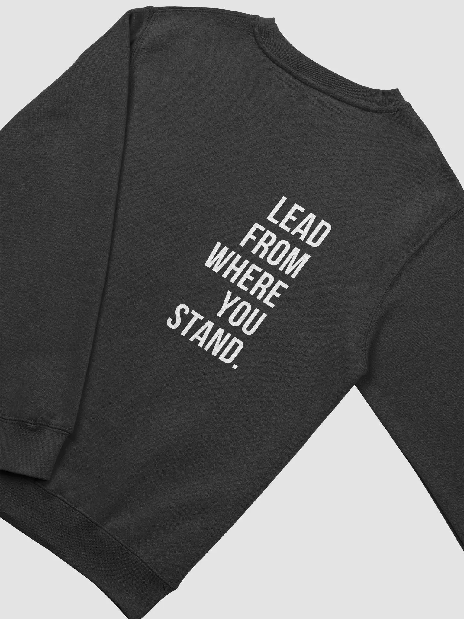 Lead From Where You Stand Sweatshirt | White product image (12)