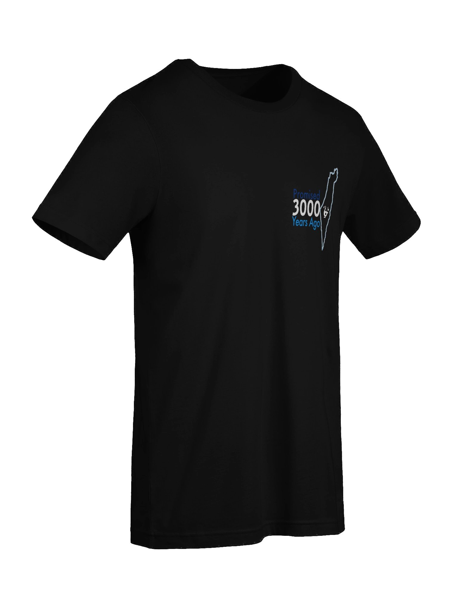 Promised Tee product image (27)