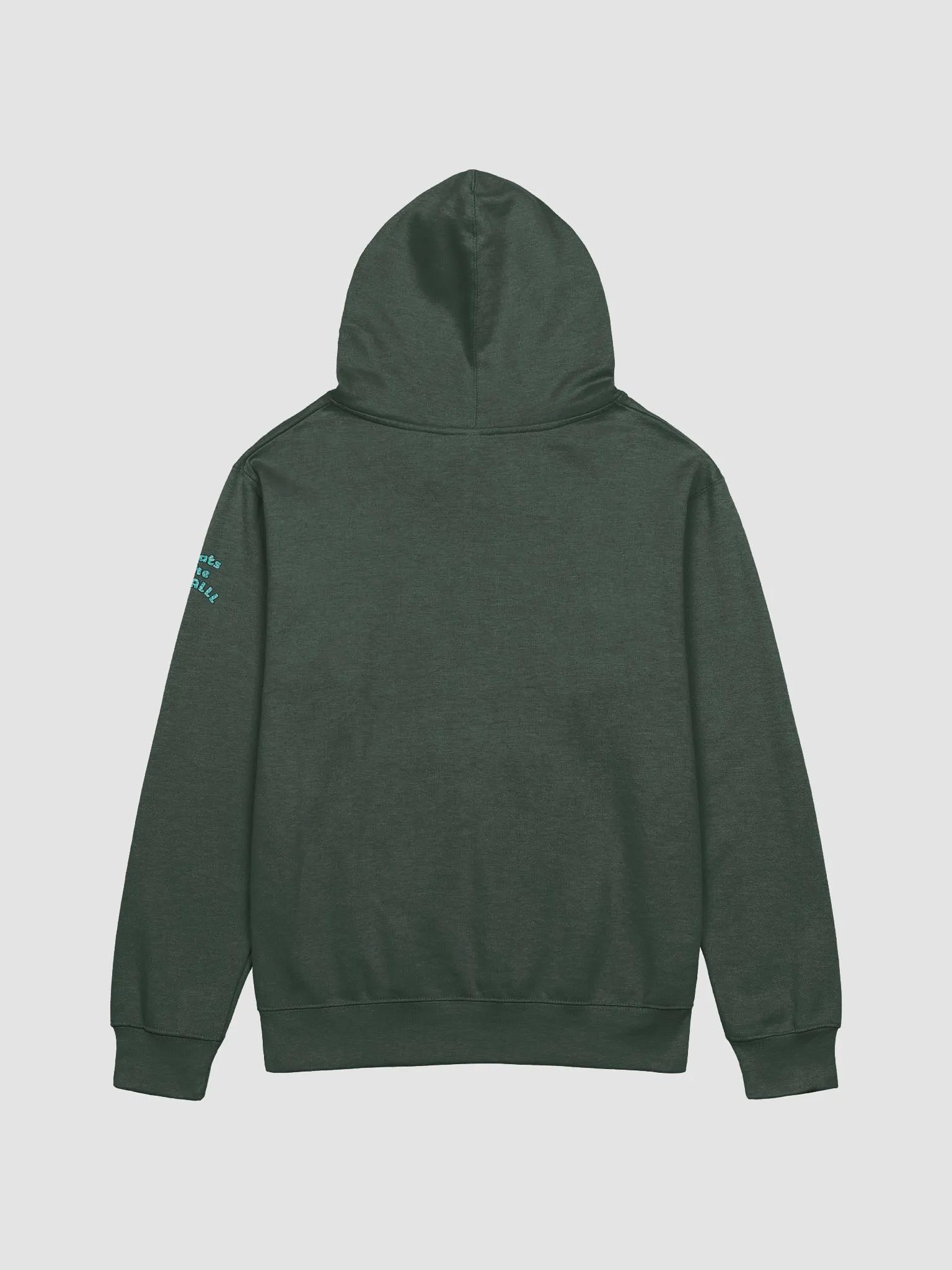 Whats the Deal v2 Hoodie product image (11)