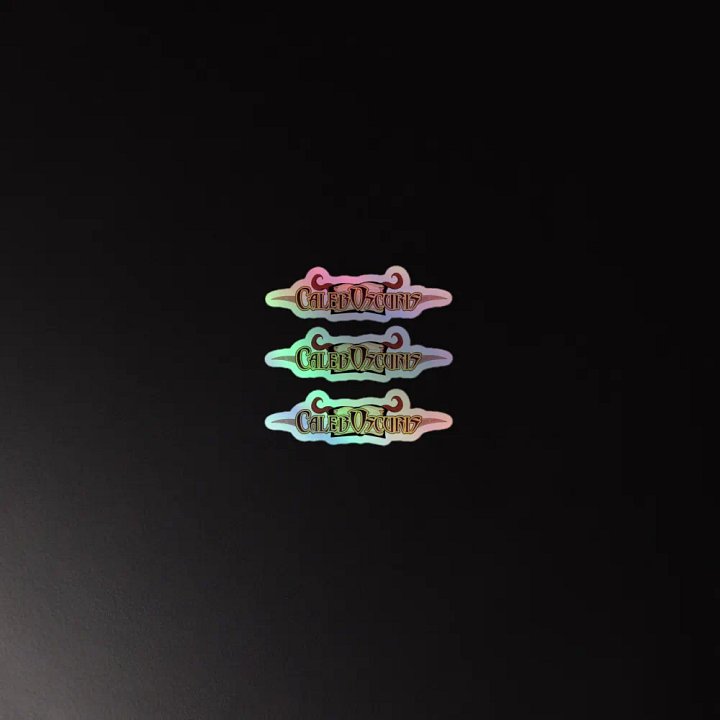 Logo Holographic Sticker Pack product image (4)