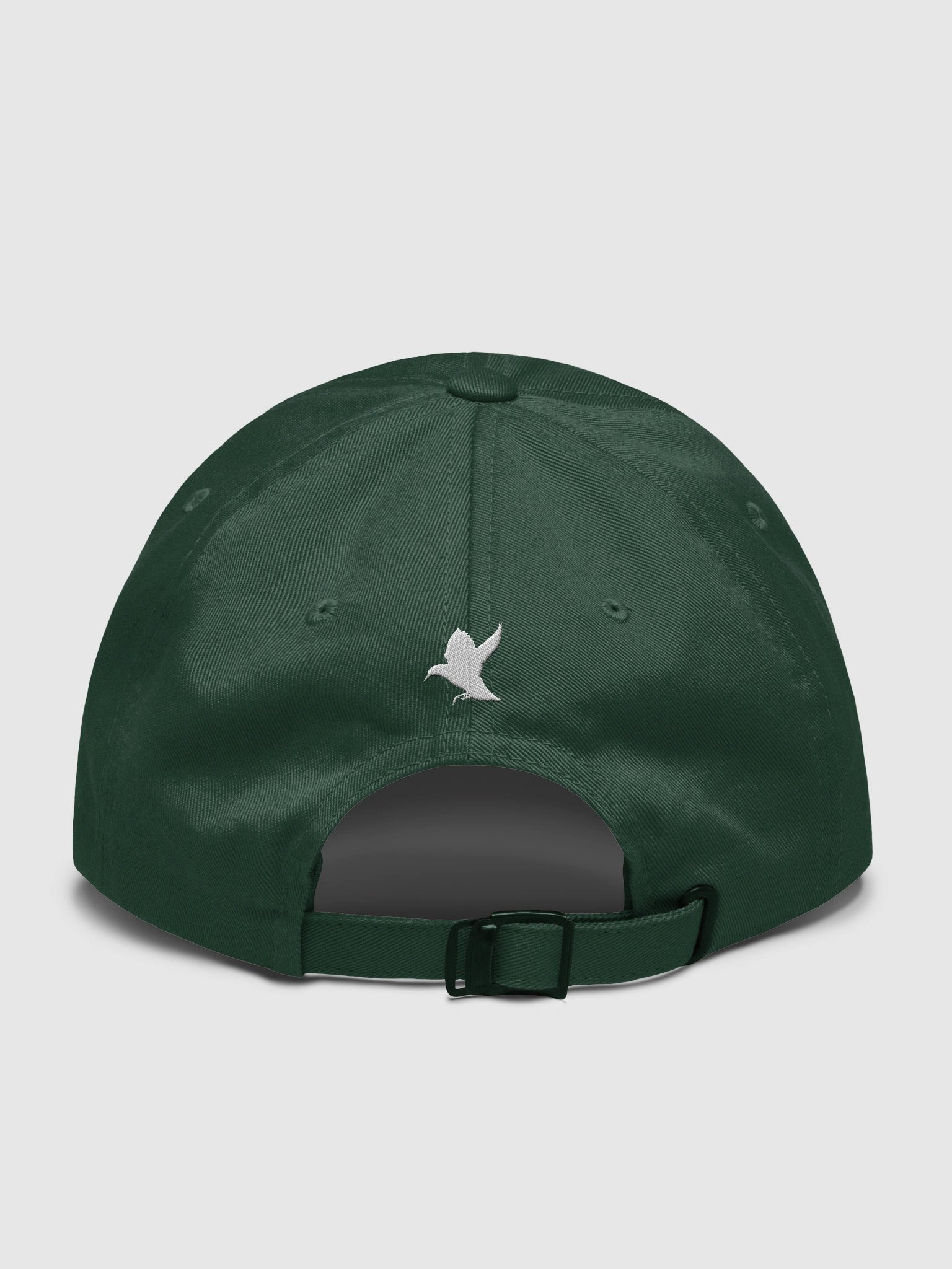 2026 CO3 Baseball Cap (Starling) product image (2)