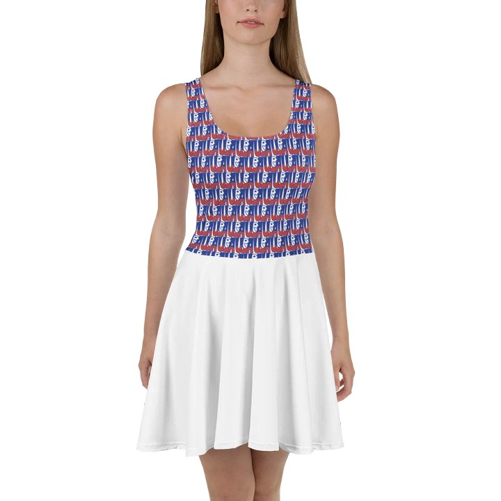 USA Delight Skater Dress product image (1)