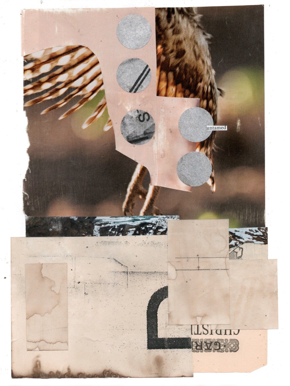 untamed product image (1)