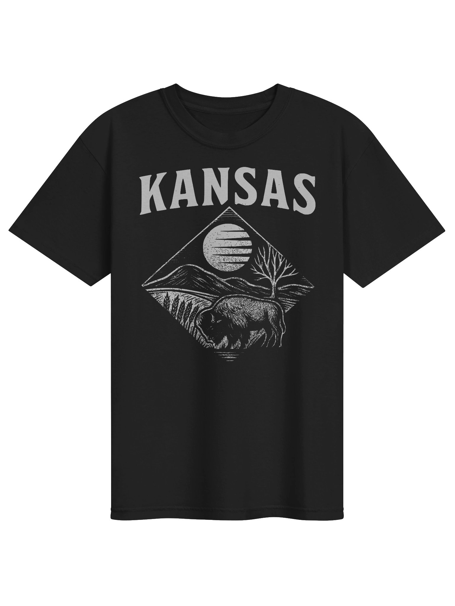 Kansas Bison Prairie T-Shirt | Vintage Midwest State Pride Tee product image (1)