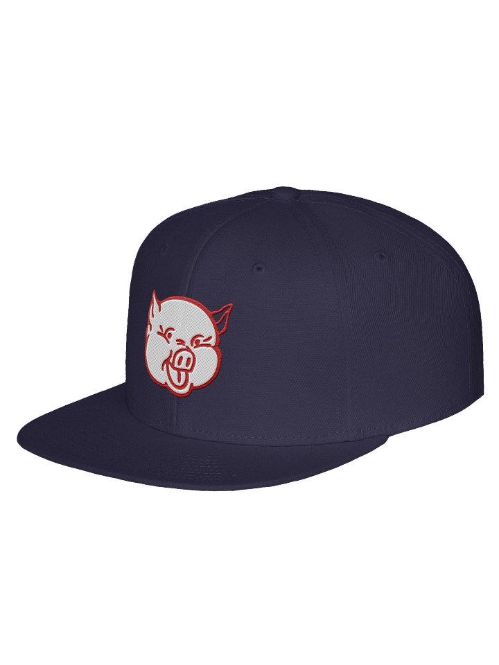 Way Down South Cap product image (2)