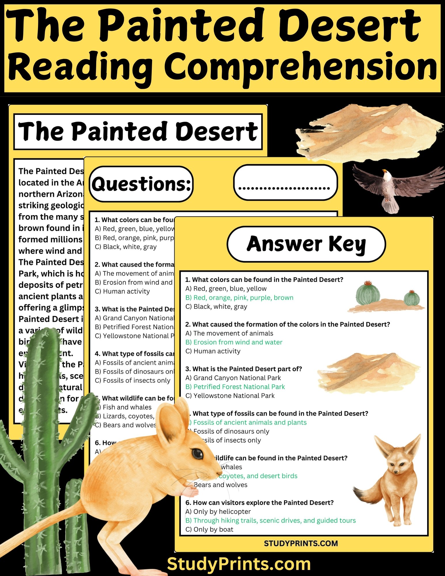 The Painted Desert Reading Comprehension Worksheet product image (1)