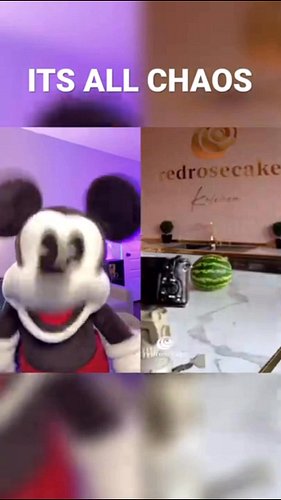 All is cake. You are fake #comedy #funny #mickey #mickeymouse #hassankhadair