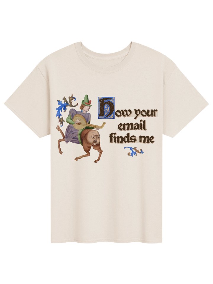 How Your Email Finds Me - Medieval Office T-Shirt product image (1)