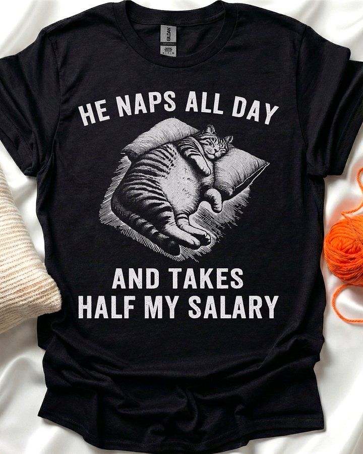 Cat Naping T-Shirt product image (1)