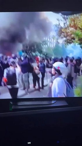 FRANCE IS DEAD-LIVE