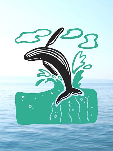 I have a totally reasonable fear of whales.
Although they are gentle giants, they’re still giants and I’m not.
So I try to ha...