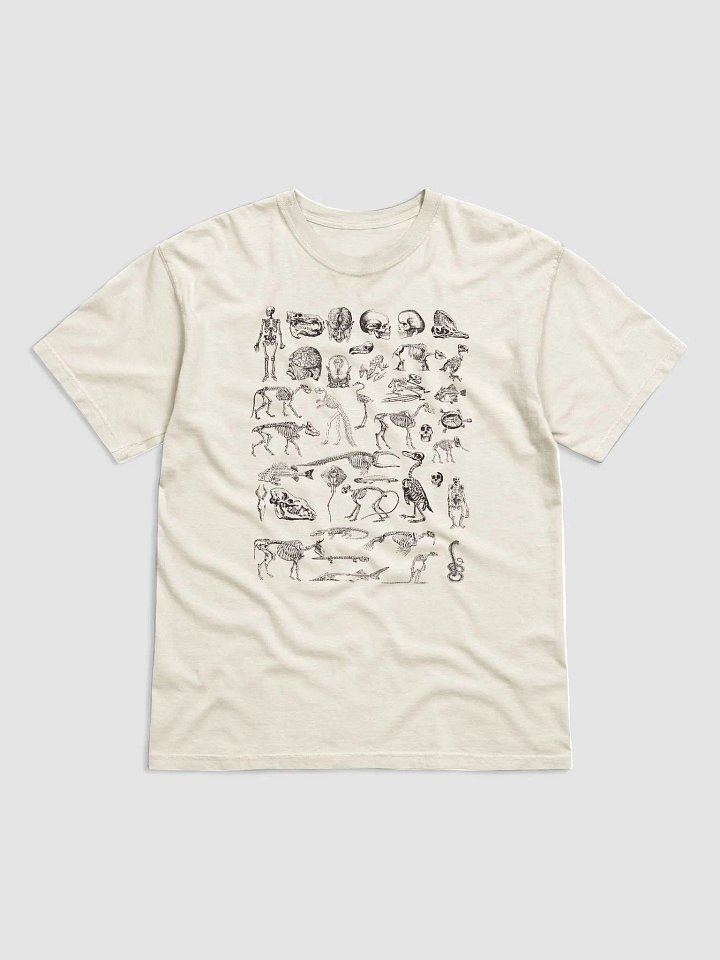 Vintage-Style Human and Animal Skeletons T-Shirt | Vintage-Style Dark Academia Shirt for Osteology and Anthropology Enthusiasts product image (12)