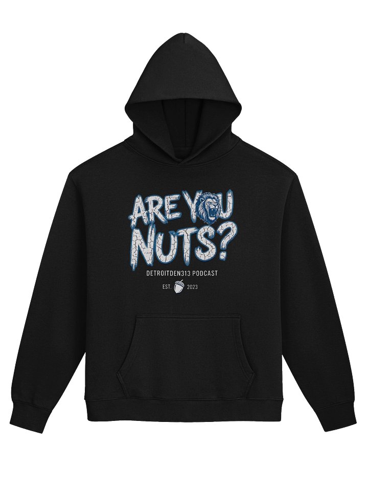 AYN Signature Hoodie product image (1)