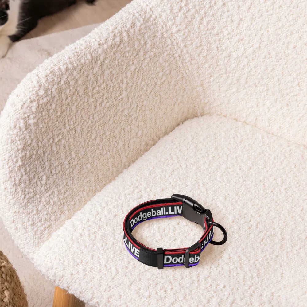 Dodgeball.LIVE Dog Collar product image (5)