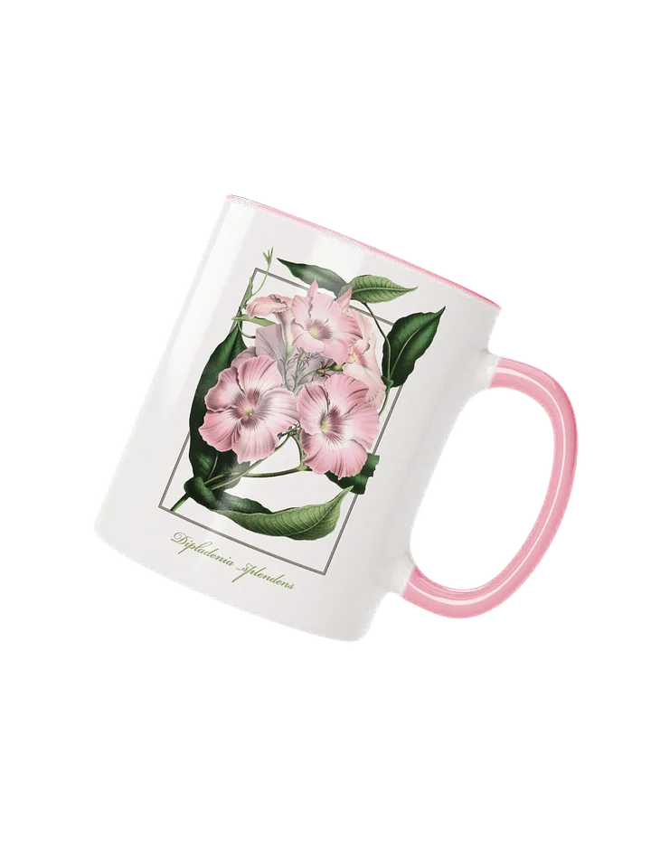 Dipladenia splendens Flower - ceramic mug product image (2)