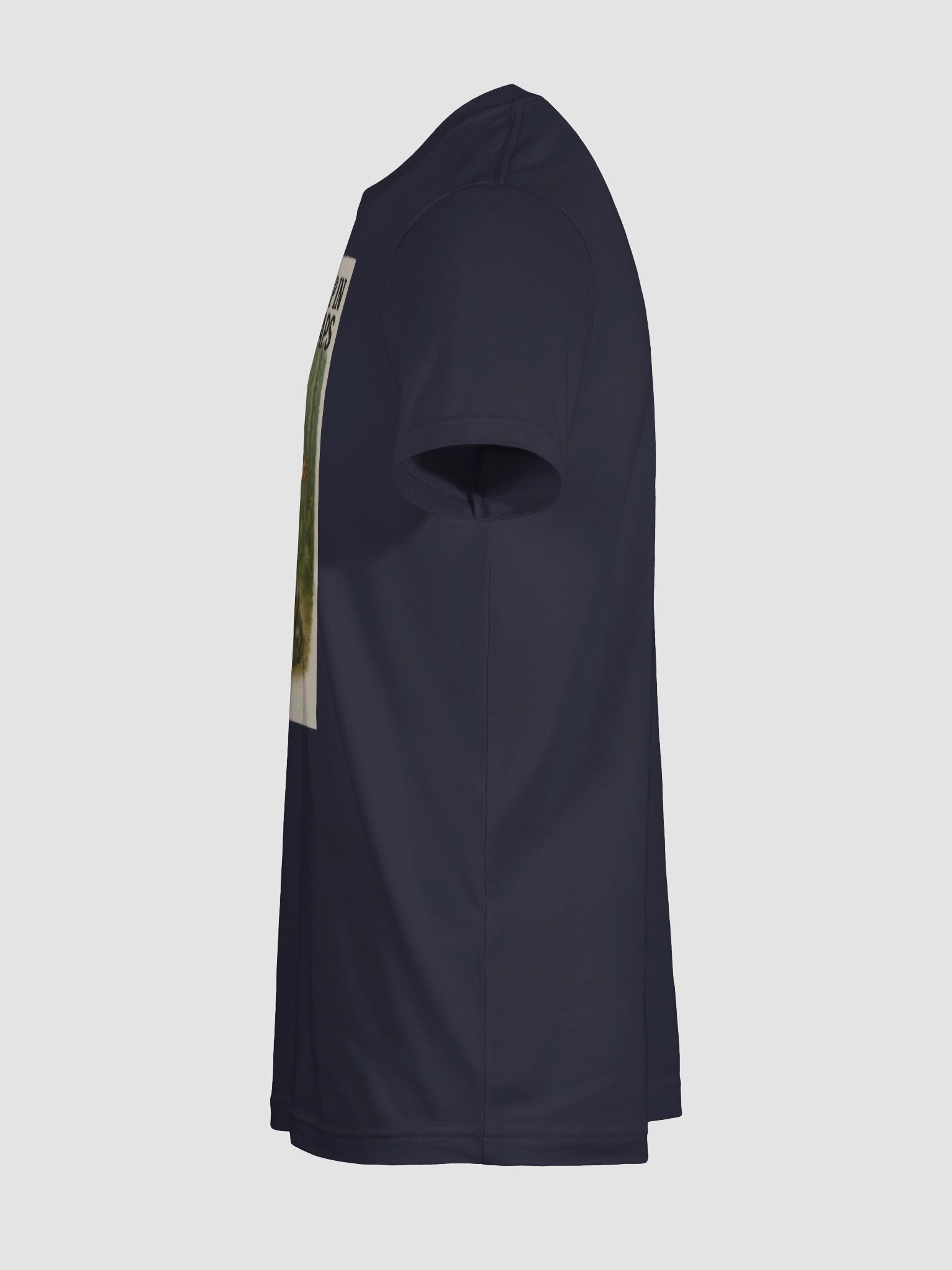 Cdub Bear Trap Soft Tee product image (64)