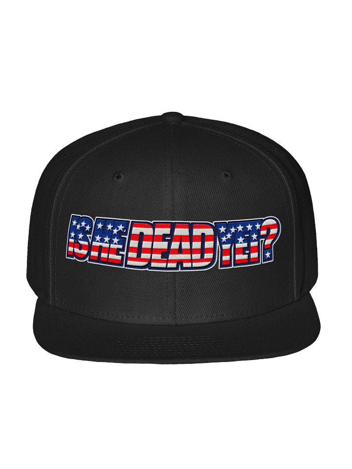 "Is He Dead Yet?" Flag Otto Wool-Blend Snapback product image (1)