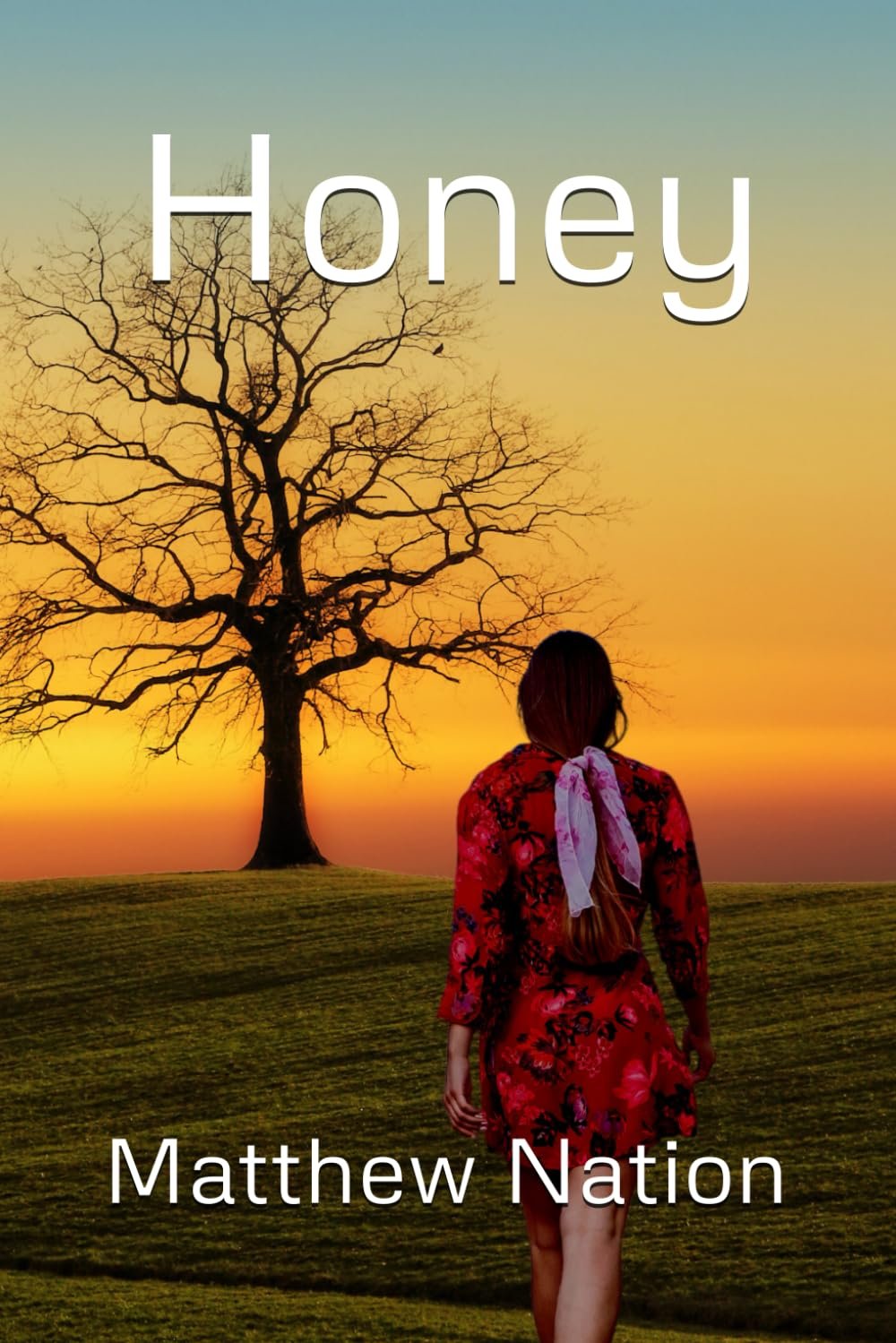 Honey - Paperback product image (1)