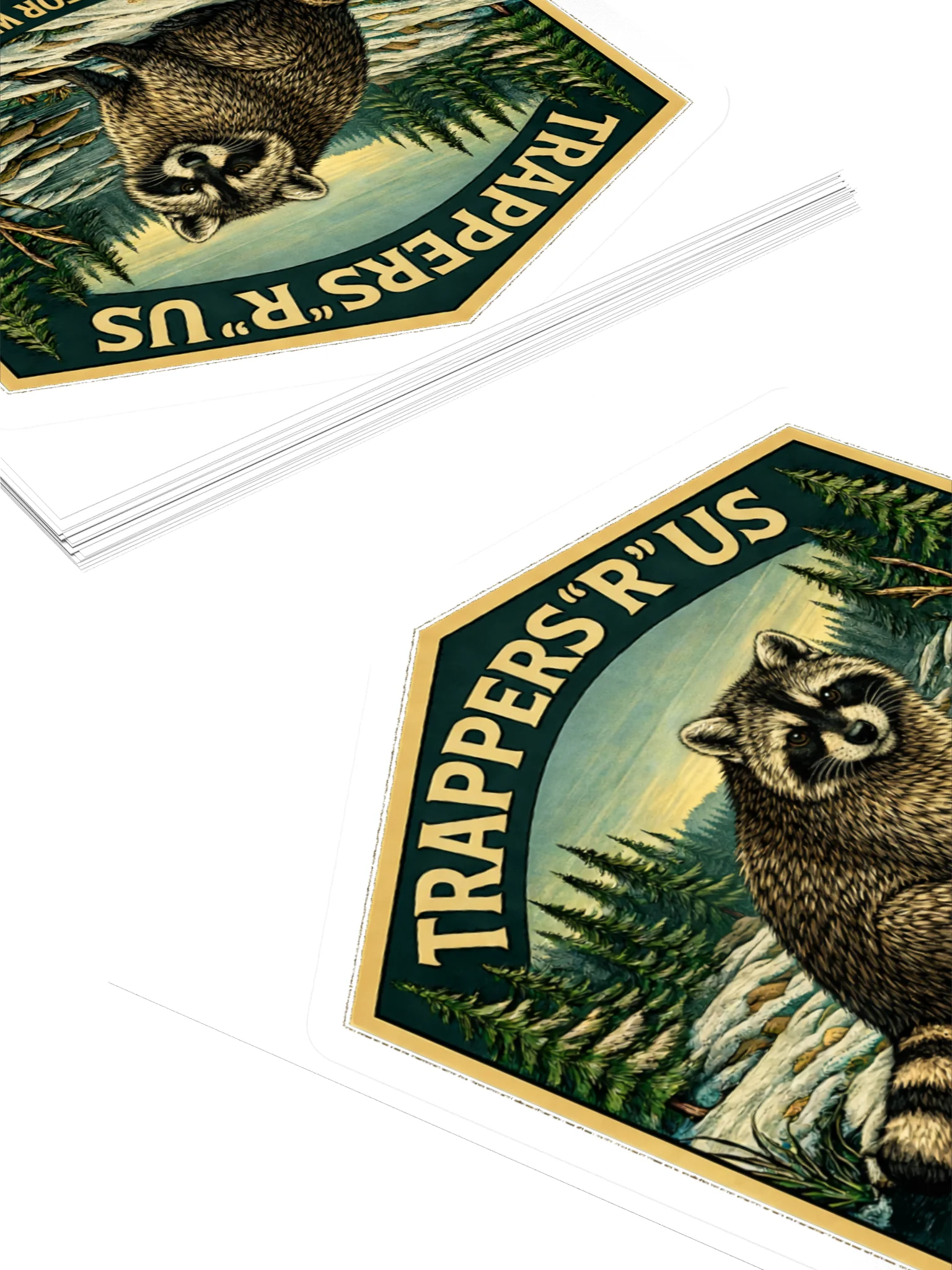 Sticker - Never Apologize - Raccoon product image (4)