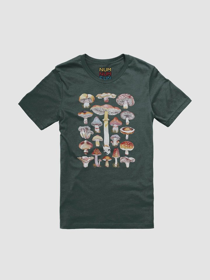 Mushrooms product image (1)