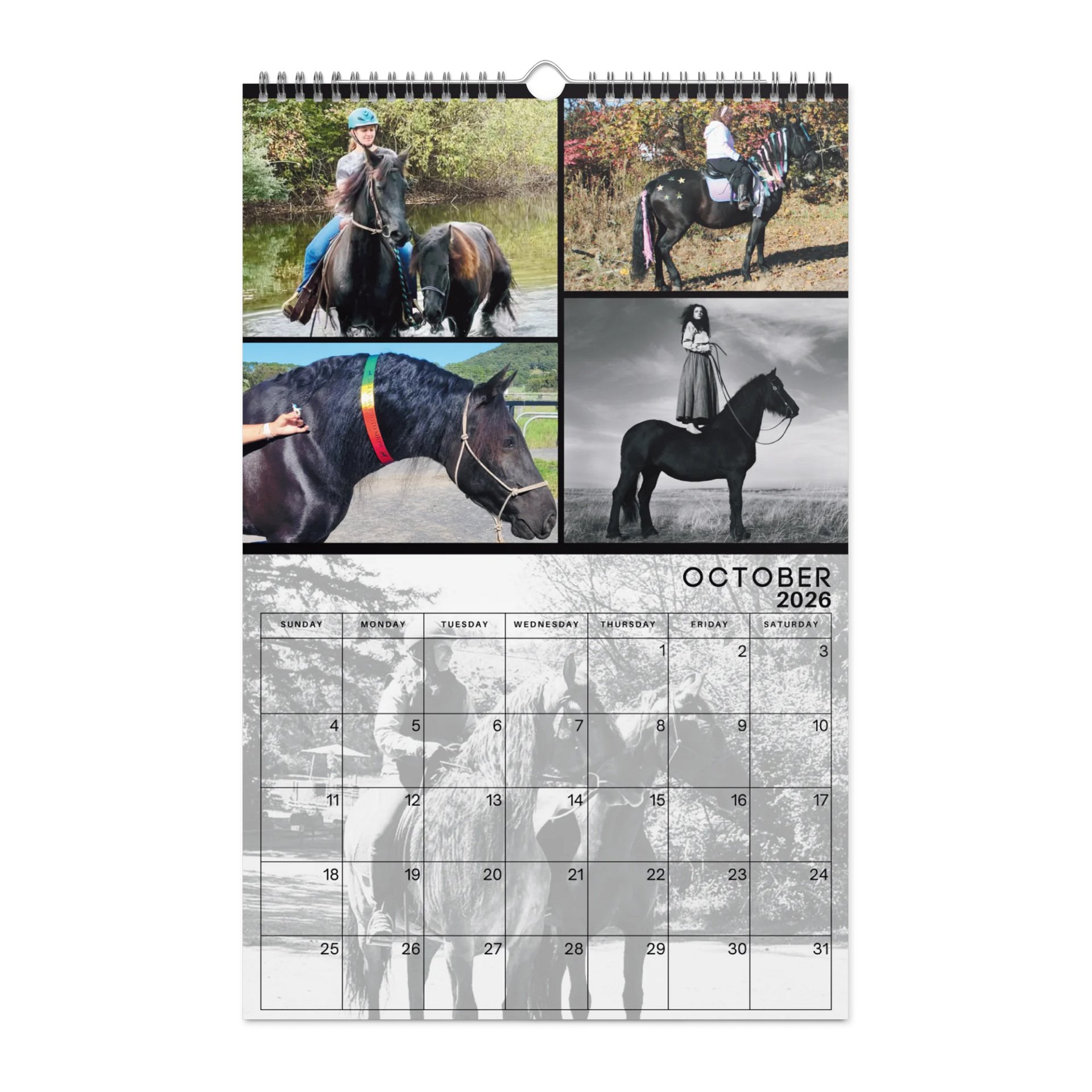2026 Moriesian Horse Registry Calendar product image (12)