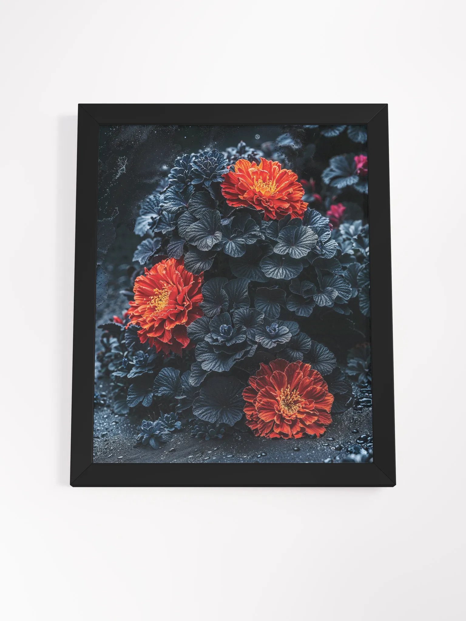Crimson Bloom in the Void Framed Print product image (22)