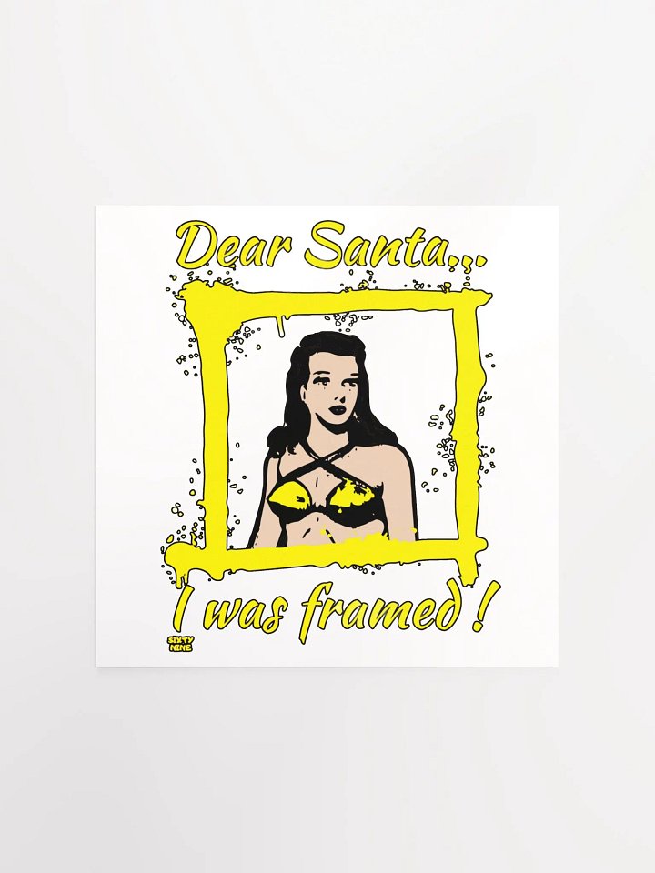 DEAR SANTA, I WAS FRAMED! product image (2)