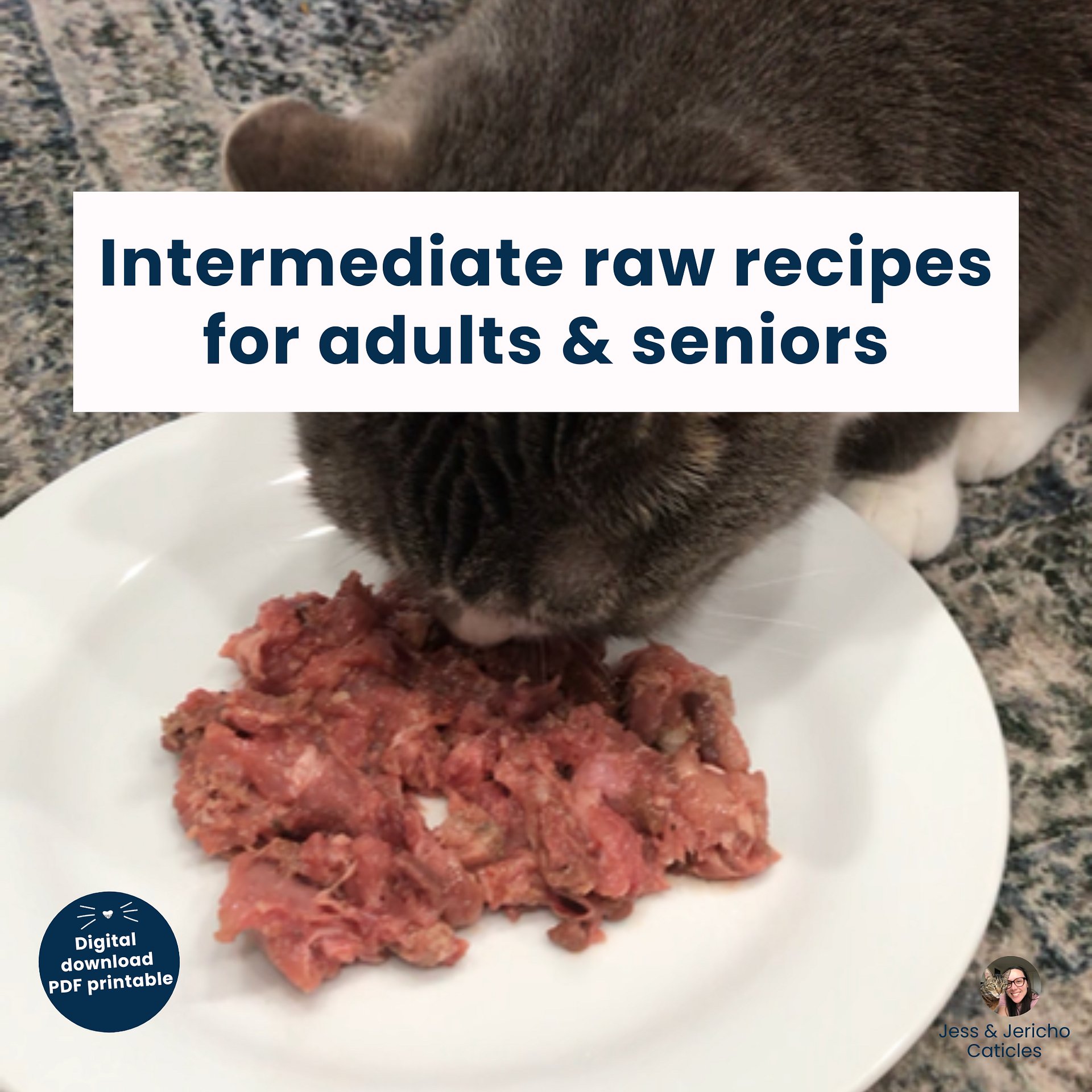 10 intermediate raw cat food recipes for adults & seniors PDF download product image (1)
