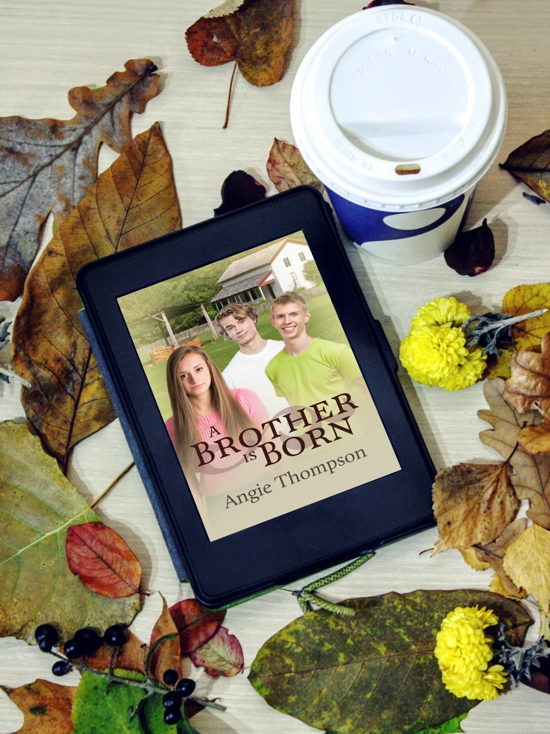 A Brother Is Born (Ebook) product image (3)
