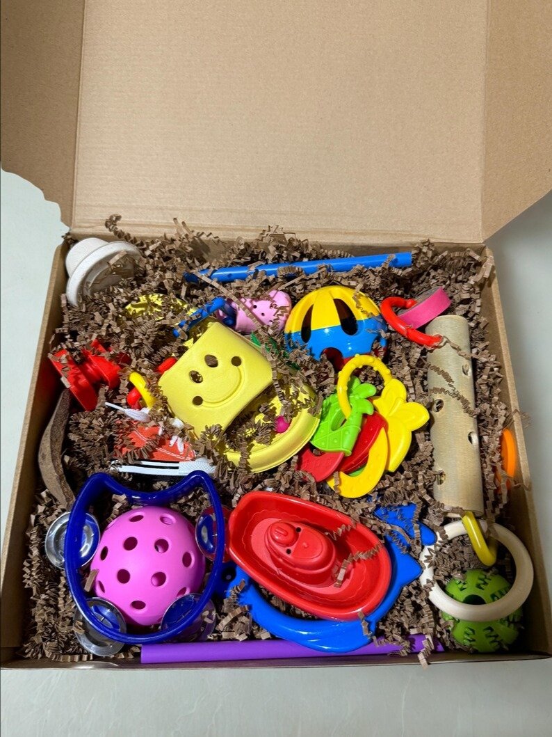 Busy Beaks Toy Box product image (1)