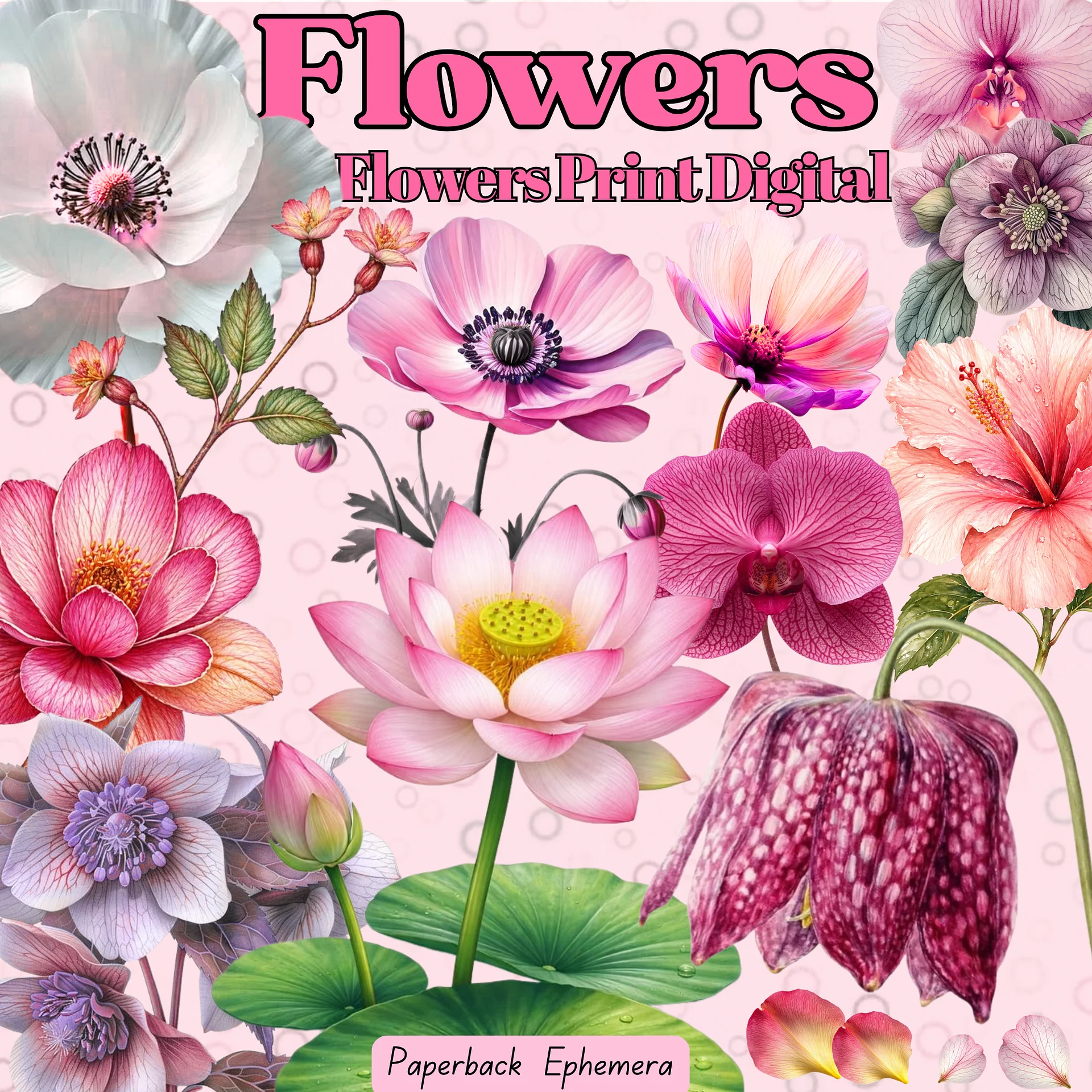 Printable Botanical Flower Ephemera – 12-Page Floral Fussy Cut PDF for Junk Journals & Collage product image (1)