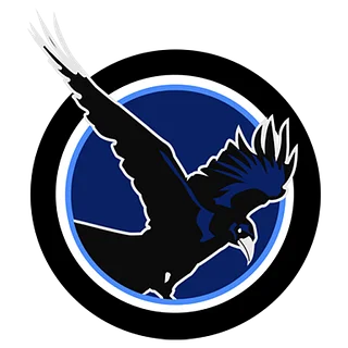 Night Ravens [NRVN]