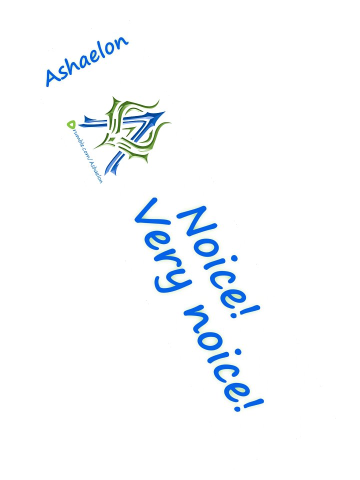 Noice! Very Noice! Custom Kiss Cut Stickers product image (2)