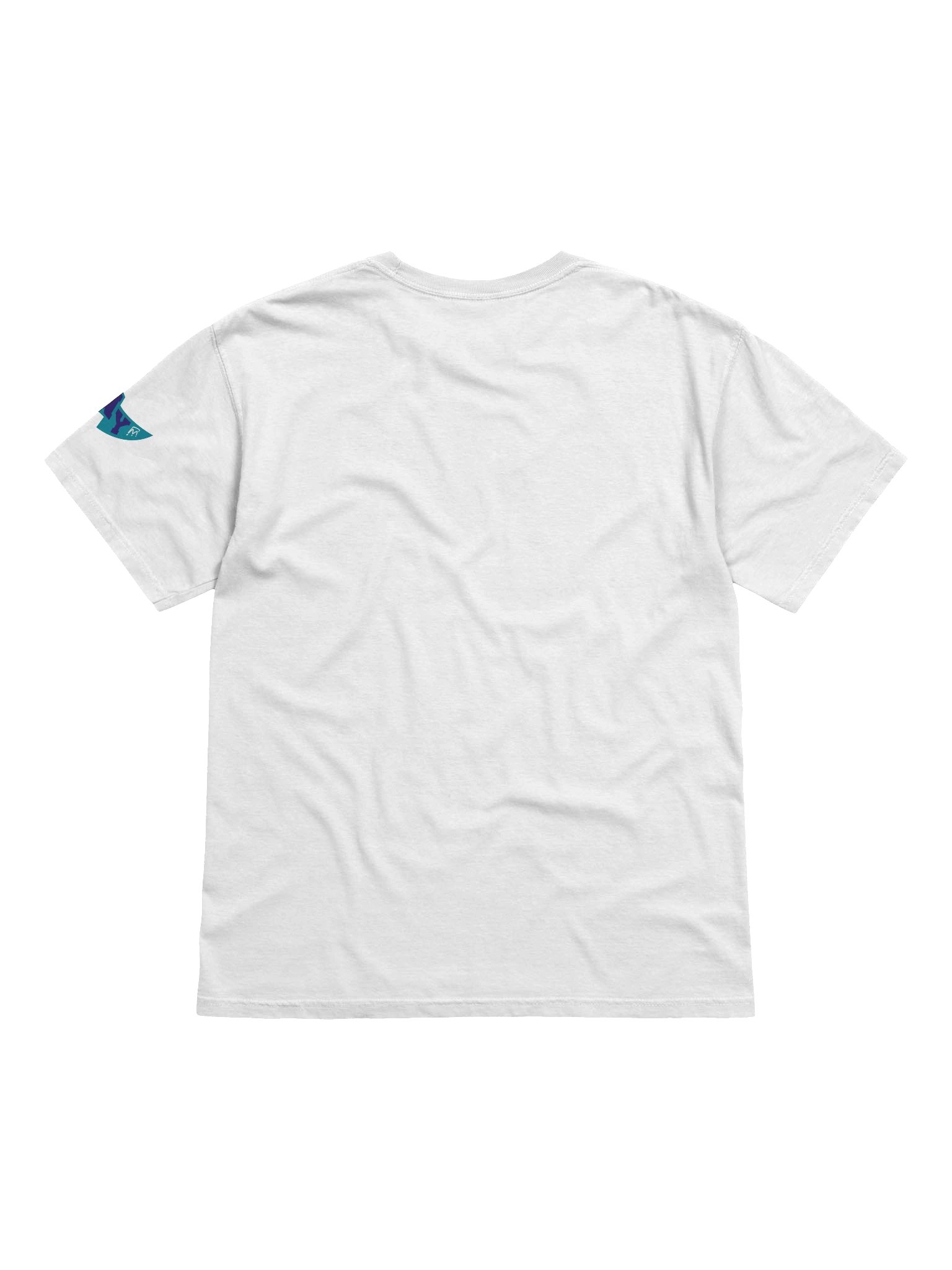 Charlotte, Welcome to Basketball Tee product image (33)