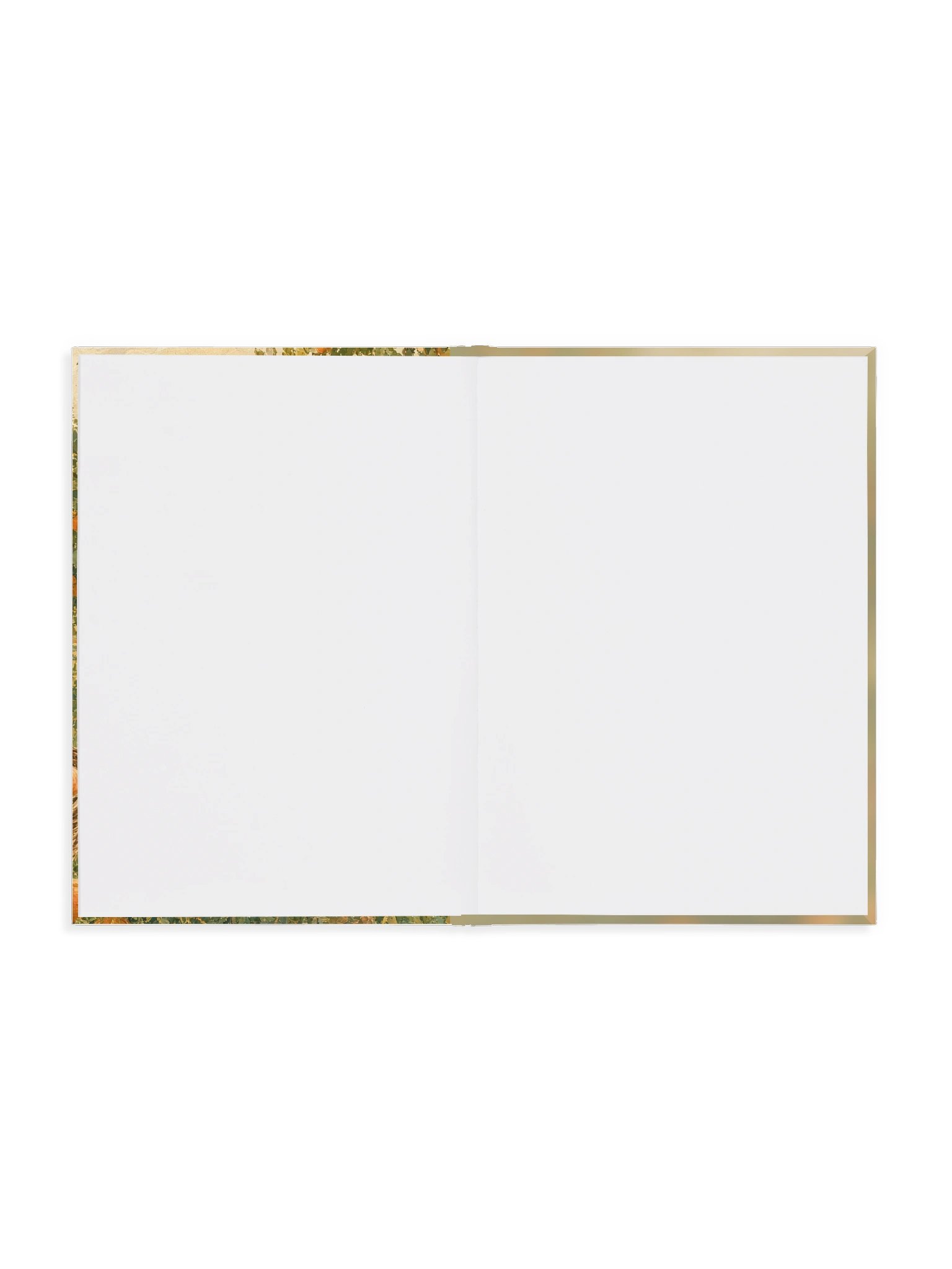 Apricot Orchard Drawing Book product image (4)