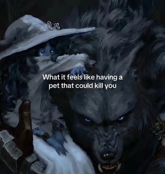 #fyp #trending #pets 