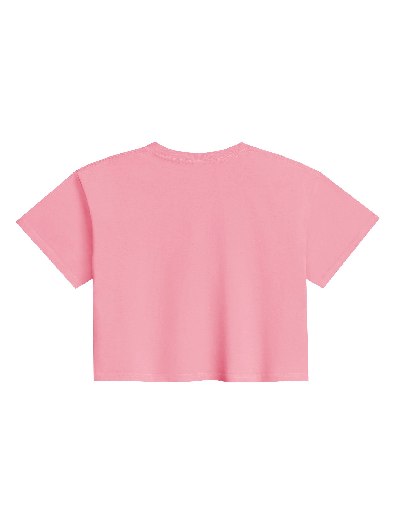 Part Fighter, Part Dancer Crop Top product image (2)