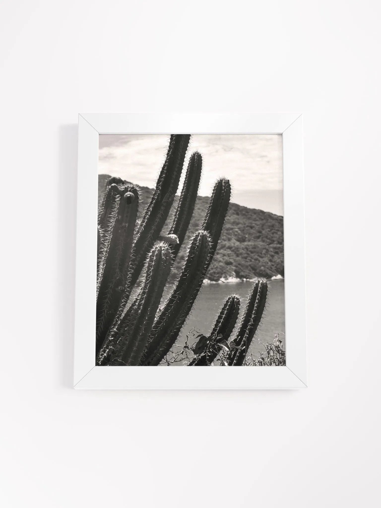Mexico Lindo - Framed High-Quality Matte Poster product image (1)