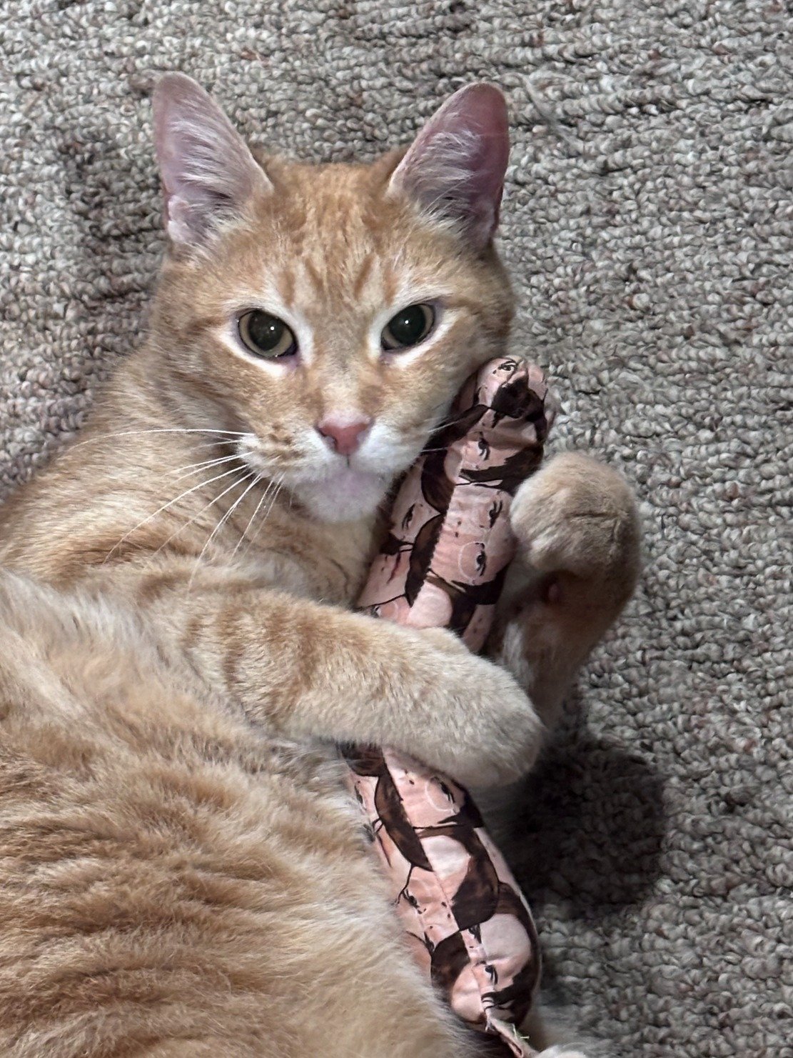 Catnip Kicker Toy product image (4)