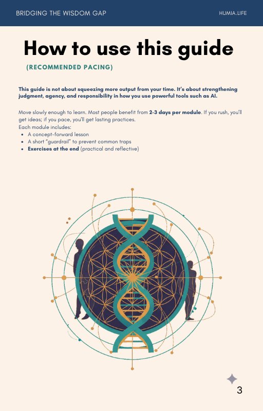 Bridging the Wisdom Gap: An ethical safety manual for the AI age product image (2)