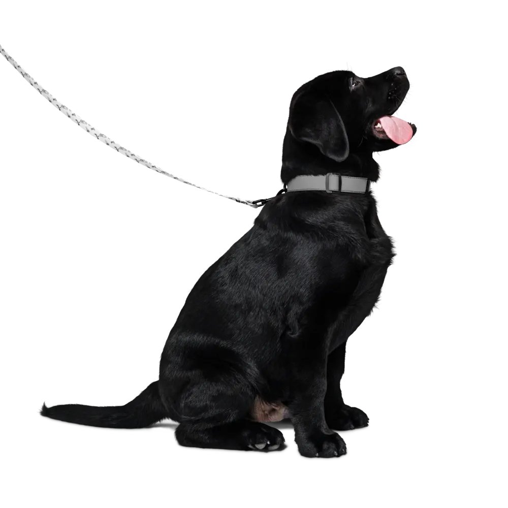 Mike Da Leash - White product image (4)