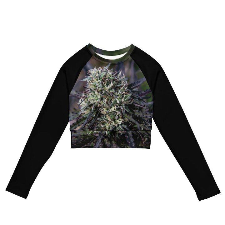 Royal Purple Cultivated Long Sleeve Jersey Crop product image (2)