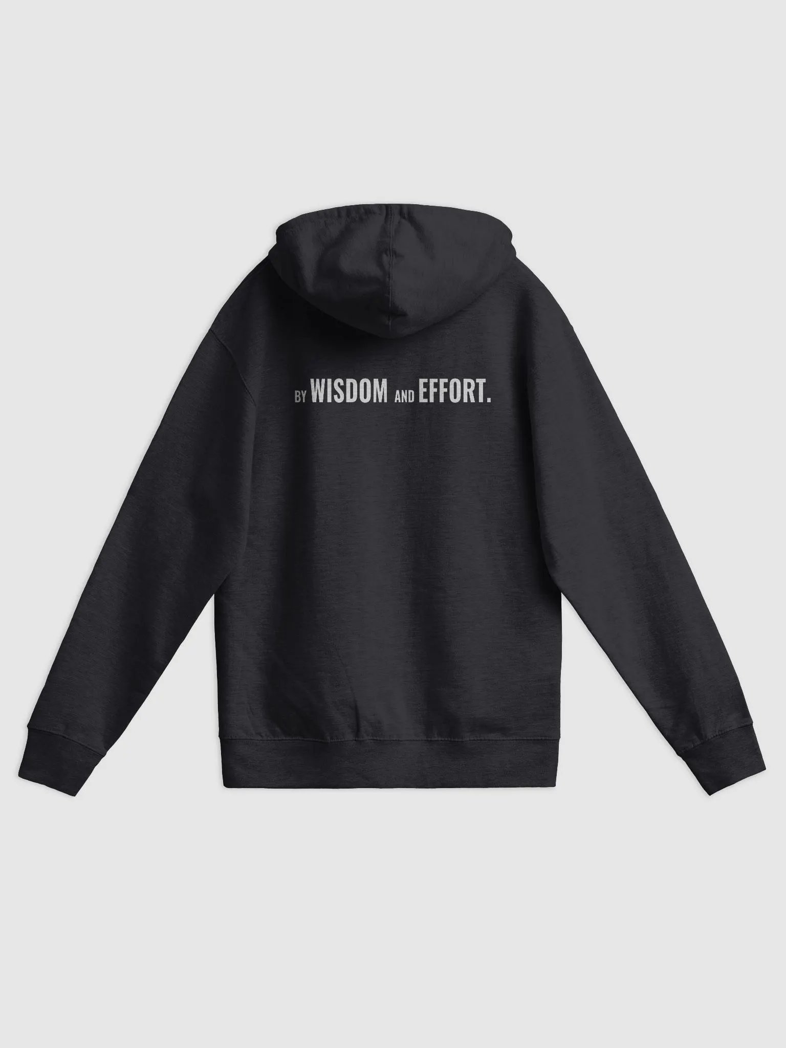Zip Up Hoodie product image (3)