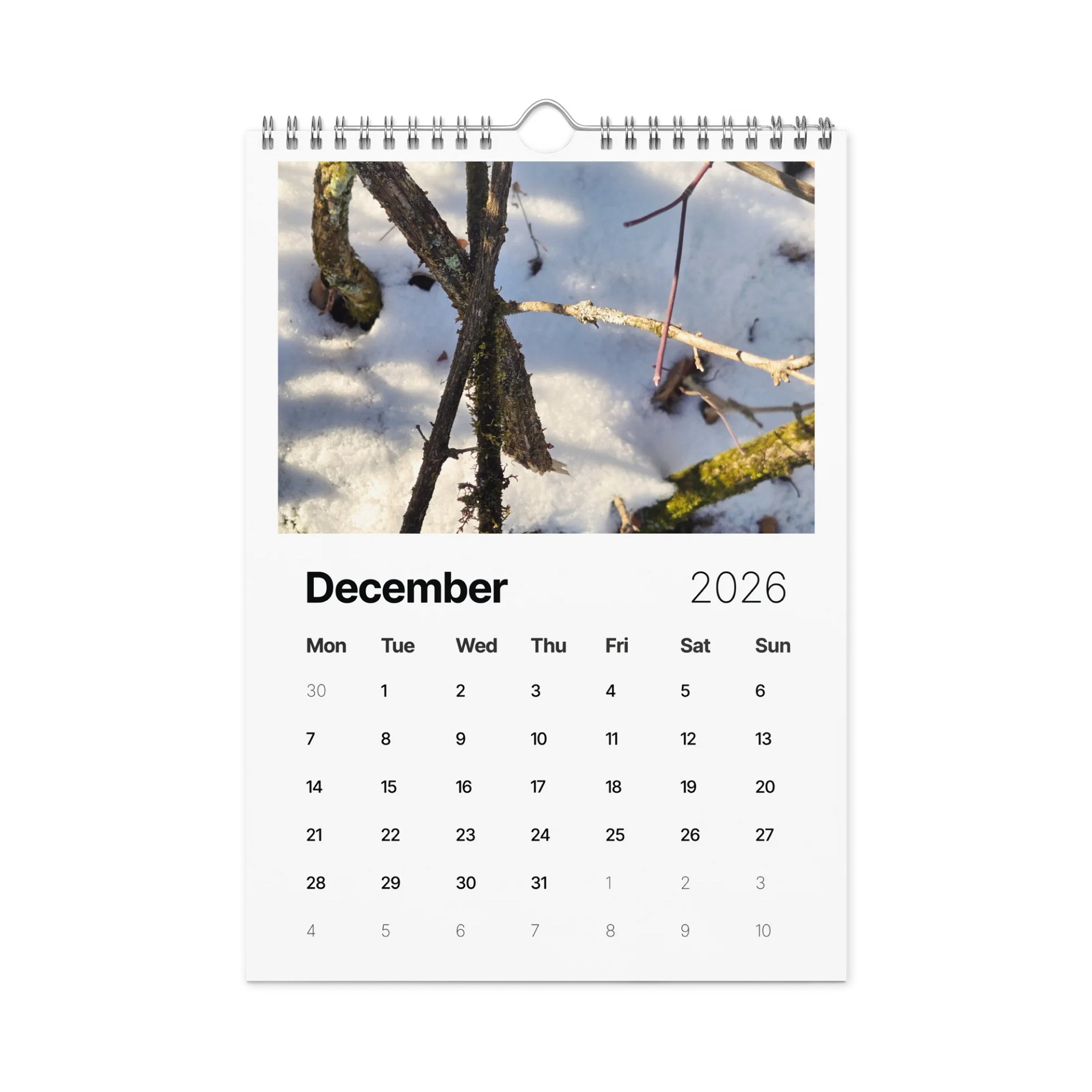 Canopy of Time: 2026 Wall Calendar product image (4)
