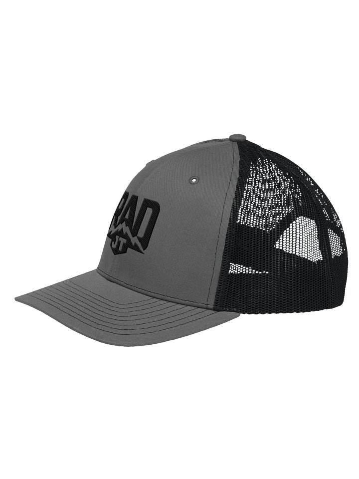 Peak Logo Hat product image (3)