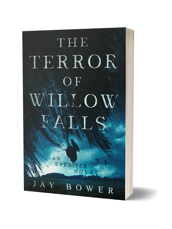 The Terror of Willow Falls (Paperback) product image (1)