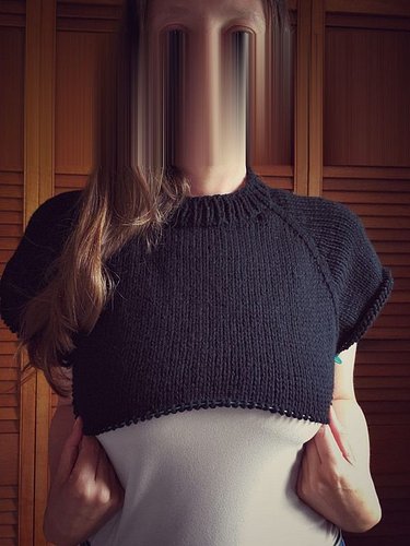 I've been knitting my first top down raglan sweater, the pattern is called 