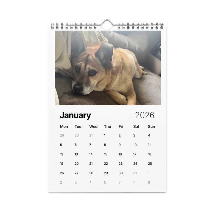 Winnie's Wolf Pack 2026 Calendar product image (1)