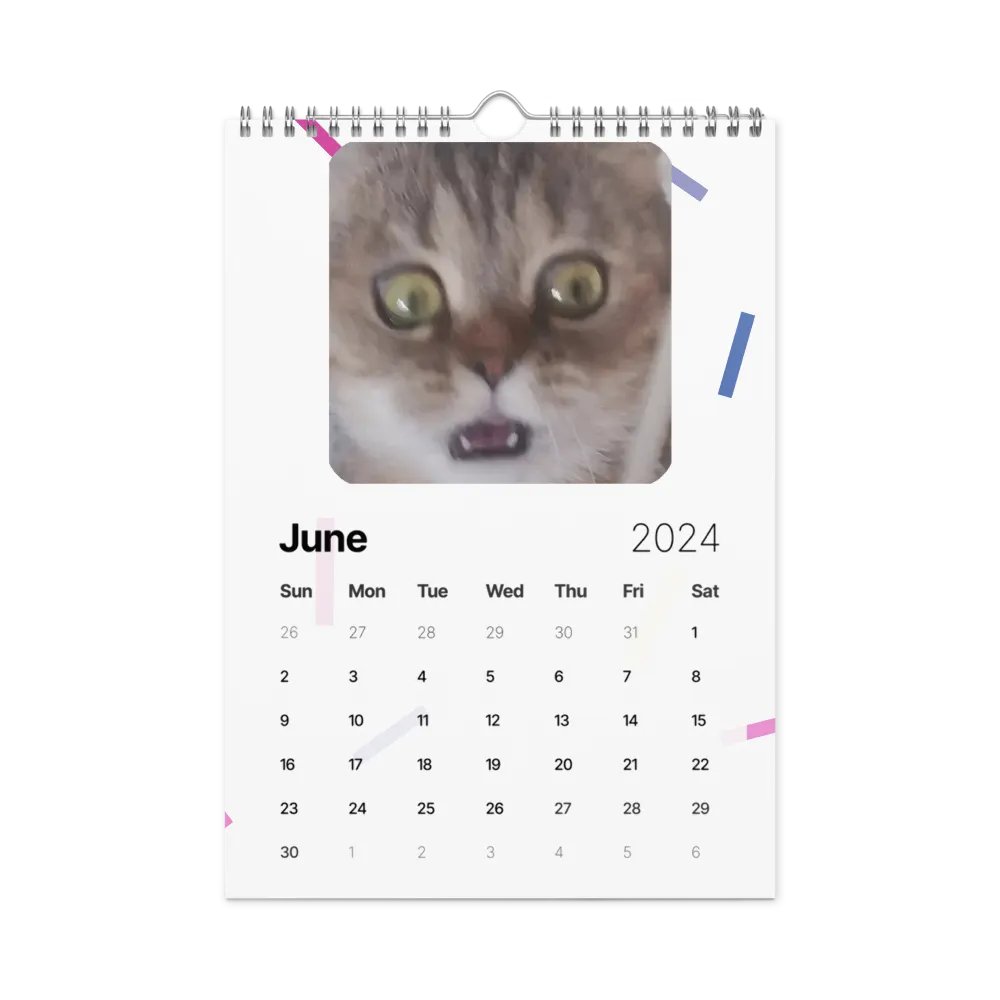 Wall Calendar (2024): Meme Cats product image (12)
